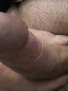 Cazzo sempre eccitato