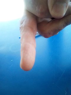 Il mio compagno di viaggio