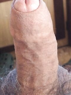 disponibile a Ostia lido