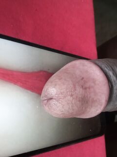 DELIZIA DELIZIA Parte 2