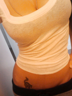 Cubista milanese del Just Cavalli