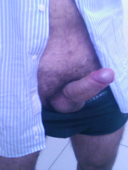 spero vi piaccia