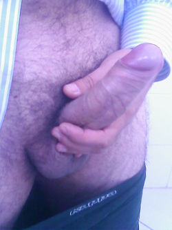 spero vi piaccia