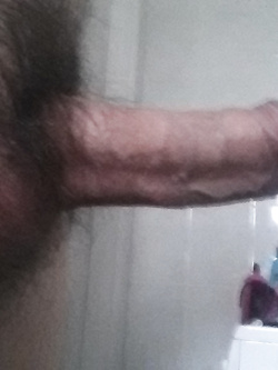 Porco e determinante