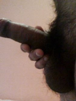 StoCazzo