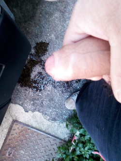 Il mio