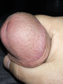 Pruno