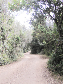 car-sex..esibizionismo..