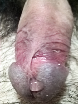 eccitato