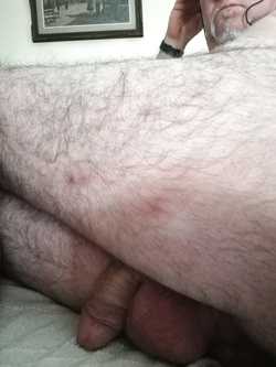 dildo