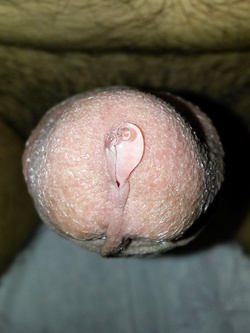 Precum