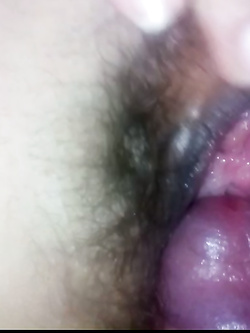 Pecorina Parte 4