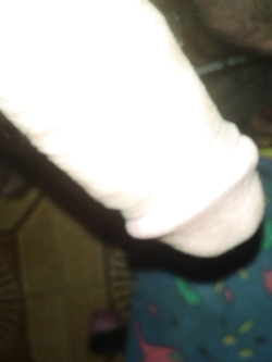 Le mie foto Parte 6