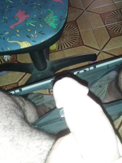 Le mie foto Parte 6