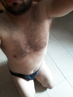 Orsetto