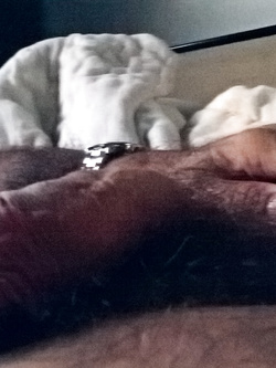 Sono sempre con il cazzo fuori