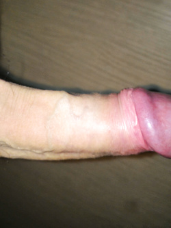 Sempre pronto Parte 6