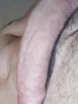 ECCO IL MIO CAZZONE