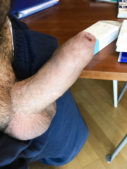 Il mio cazzo Parte