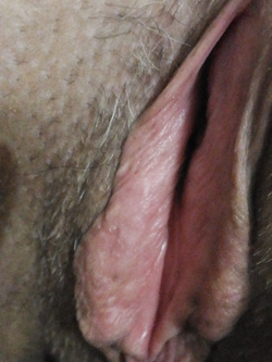 Voglia pazza 2