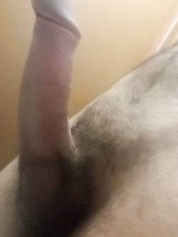Cazzone1