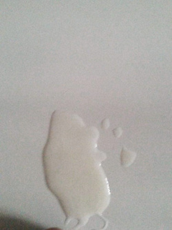 Il mio essere porco