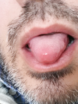 Il mio essere porco
