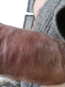 Il mio essere porco