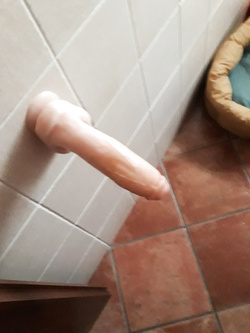 Buongiorno Parte 2