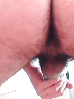 IO GIOVANE MAIALE EMILIANO