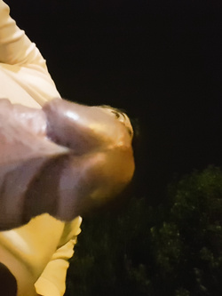 La mia capocchia
