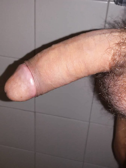 il mio amico