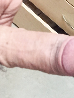 cazzo duro