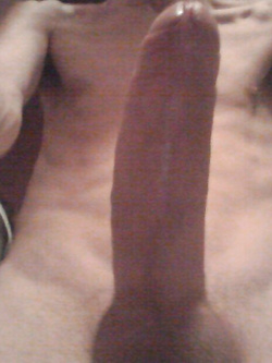 Cazzone Parte 2
