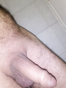 primo Parte 3