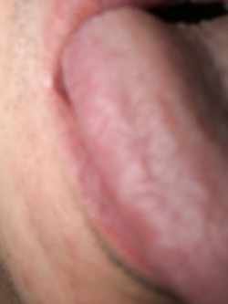 Cazzo duro