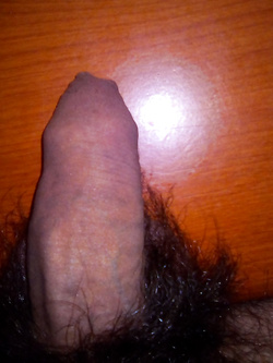 Il mio cazzo Parte 33