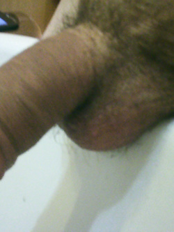 Il mio tesoro