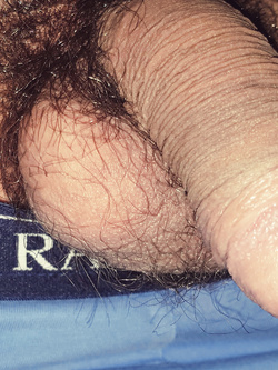 Il mio cazzo stanco ma sempre sostanzioso