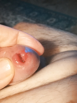 Seghe e culi Parte 2