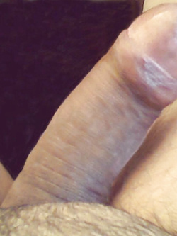 Il mio cazzo per voi