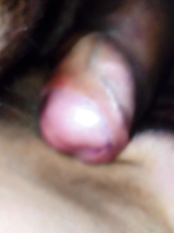 Lingua figa