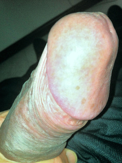 Il cazzo in tiro