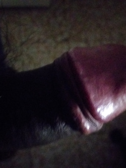 CAZZO BICOLORE