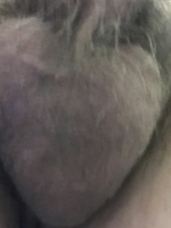 Il mio pelo