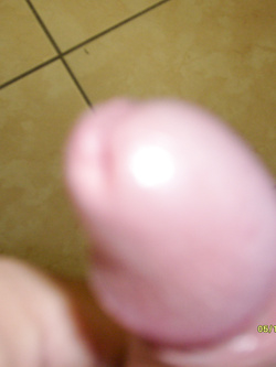 cazzetto
