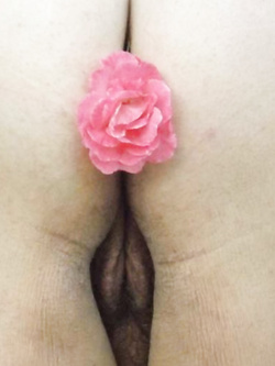 Fiorellino