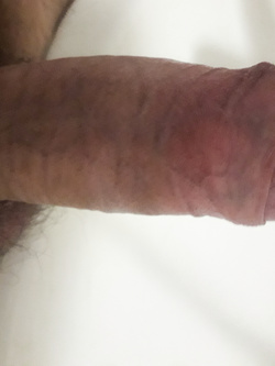 Lo do a tutti