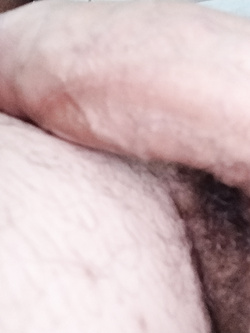 Il mio boby