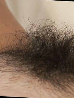 pelo nero